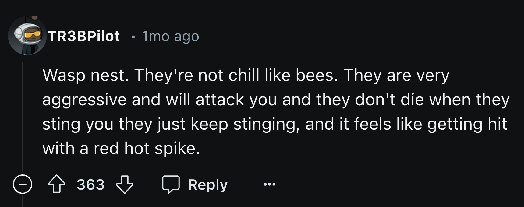 screenshot - TR3BPilot 1mo ago . Wasp nest. They're not chill bees. They are very aggressive and will attack you and they don't die when they sting you they just keep stinging, and it feels getting hit with a red hot spike. > 363 363